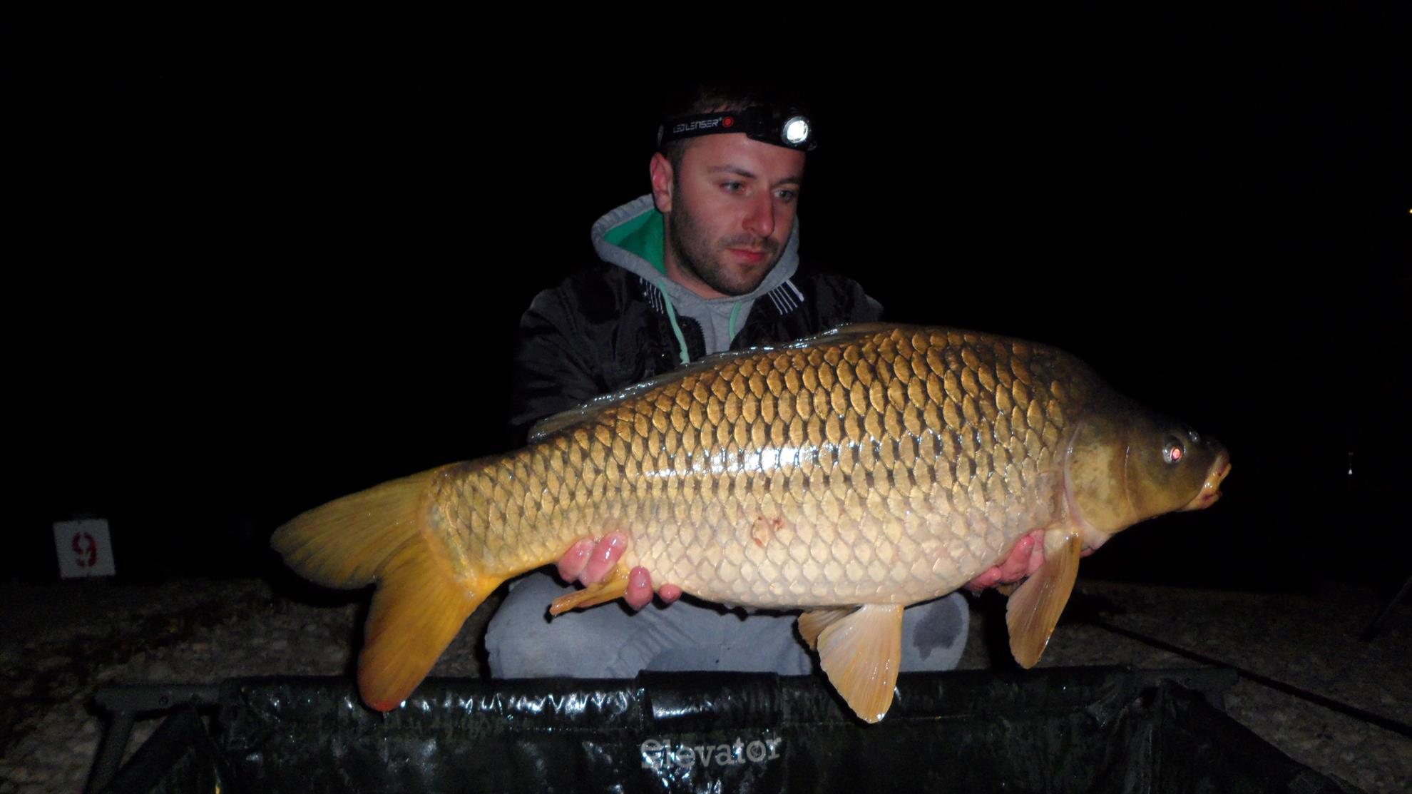 Hermes Peris 16 - 17 aprilie 2015 - sam0474.JPG